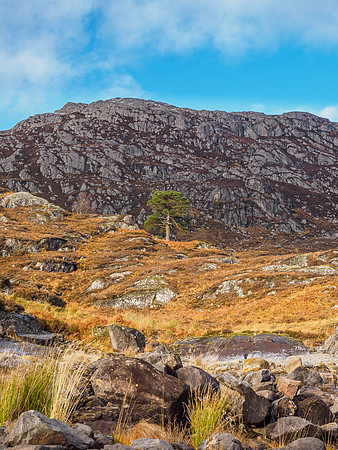 Mullardoch [1911029]