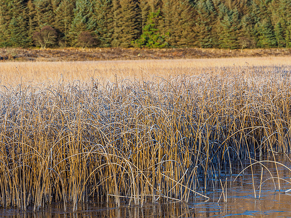 Loch Cill Chriosd [1911038]