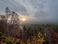 Glen Affric [1911016]