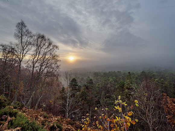 Glen Affric [1911016]