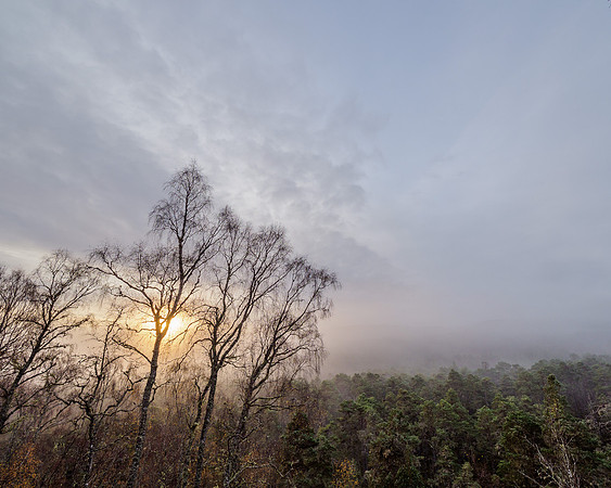 Glen Affric [1911018]