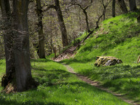 Corrimony_1088