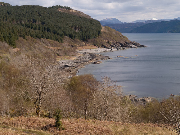 Sleat_0956a