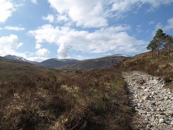 Tom a' Choinich_1263