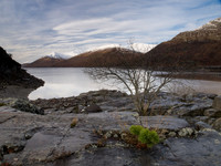 20121124-Glen Cannich-RB242106