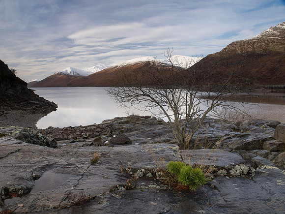 20121124-Glen Cannich-RB242106