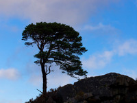 20121117-Glen Cannich-RB172024