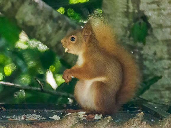 20210622-Garden-EM125099-Edit