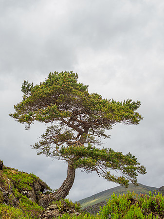 Glen Cannich Weather