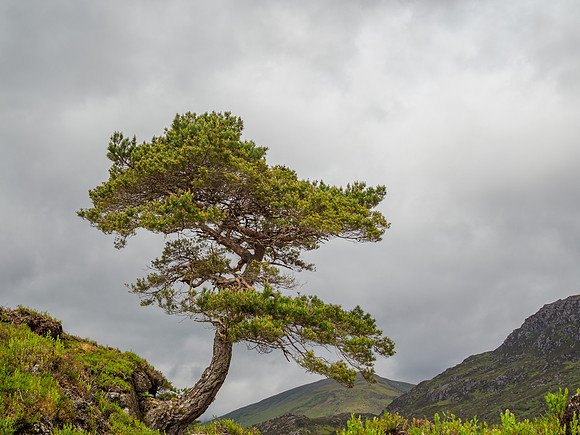 Glen Cannich Weather