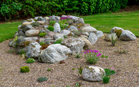 Garden Colour