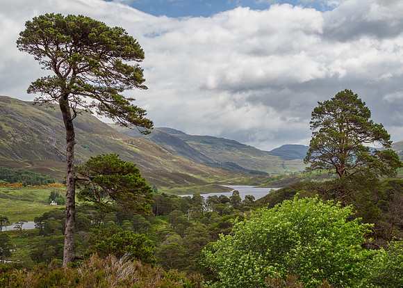 Glen Cannich Weather