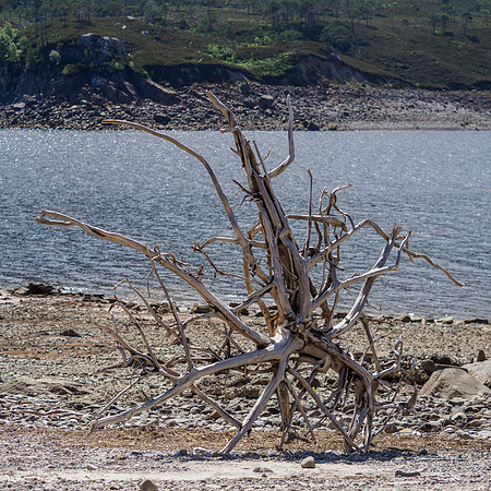 20210629-Glen Cannich-EM126586