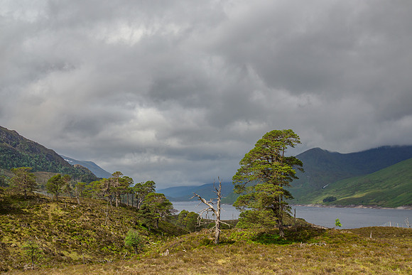 Glen Cannich Weather