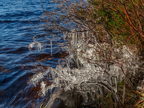 Loch an Eilein 3