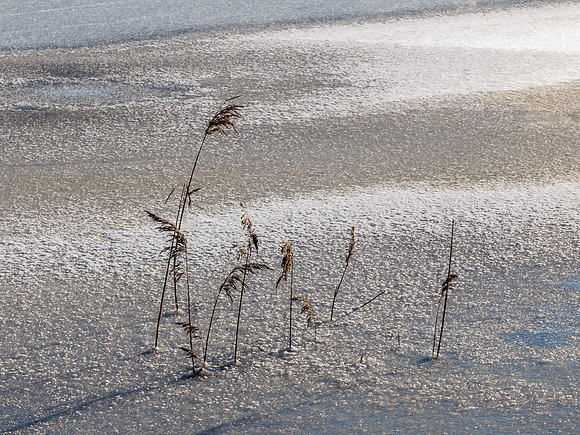Lochan Mor 2