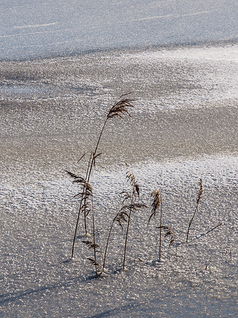 Lochan Mor 3