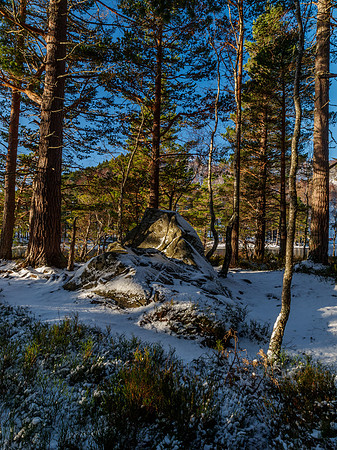Loch an Eilein 1
