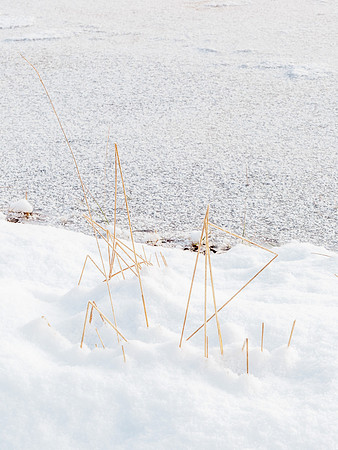 Loch Morlich 4