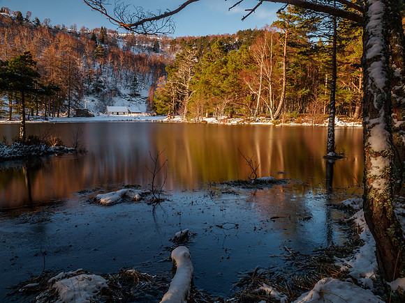 Loch an Eilein 4