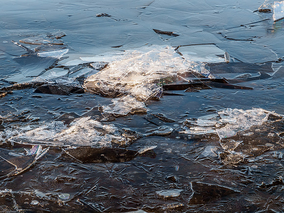 Loch Morlich 10