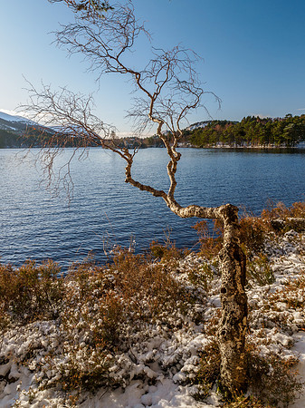 Loch an Eilein 2