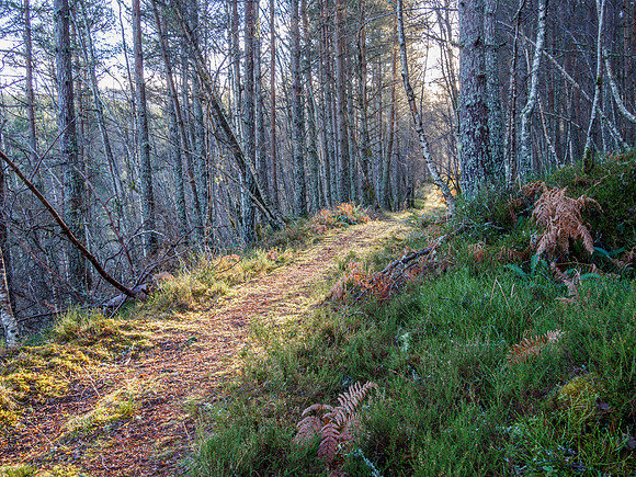 20150104-Corrimony-EM100535