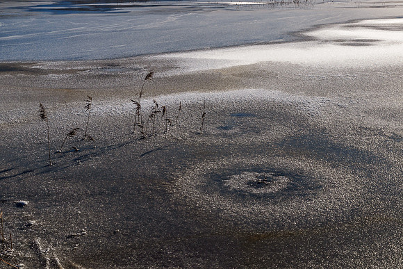 Lochan Mor 1