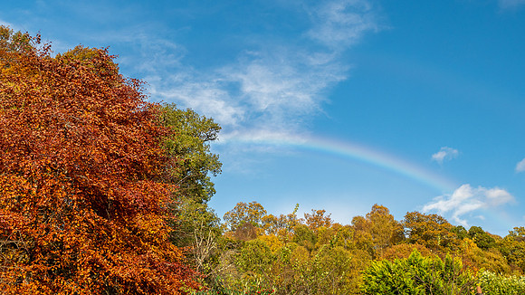 Autumn Colour