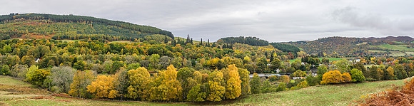Balmacaan Wood and Craigmony