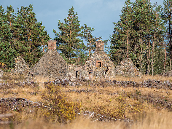 The Ruin
