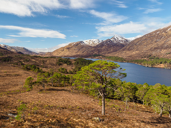 Looking West Along Glen Affric