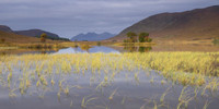 20121009-Ullapool-RA091365