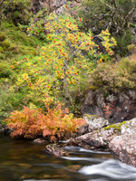 20121009-Ullapool-RA091428