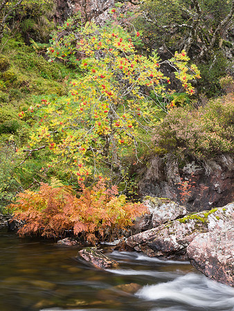 20121009-Ullapool-RA091428