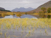 20121009-Ullapool-RA091370