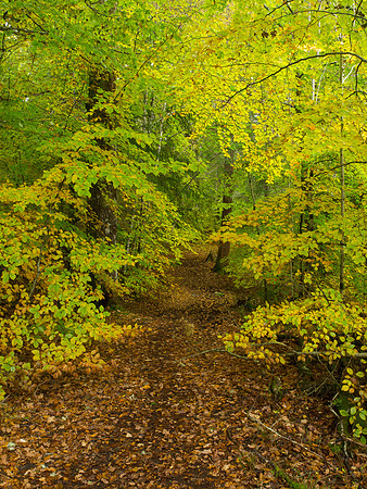20121028-Invermoriston-RA281881