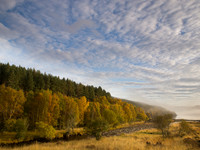 20121021-Glen Affric-RA211739