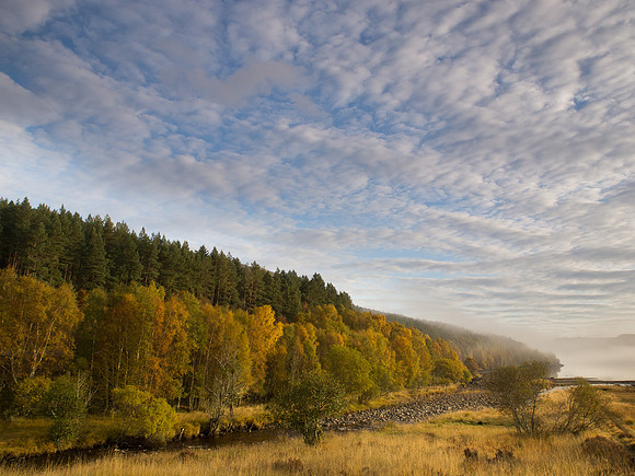 20121021-Glen Affric-RA211739