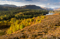 20121021-Glen Affric-RA211759