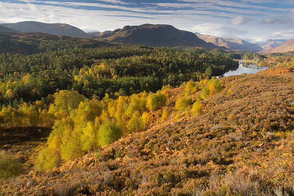 20121021-Glen Affric-RA211759