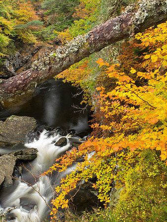 20121028-Invermoriston-RA281879