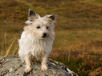 20121010-Glen Cannich-RA101467