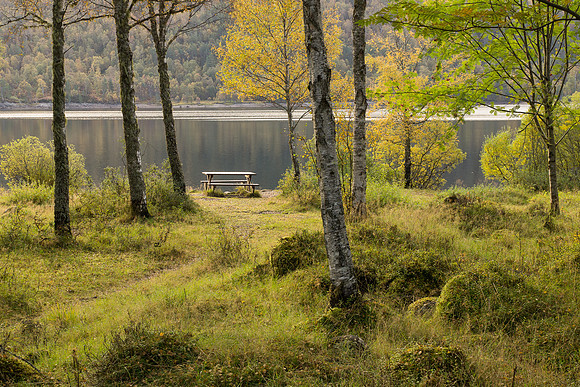 20121014-untitled-RA141644