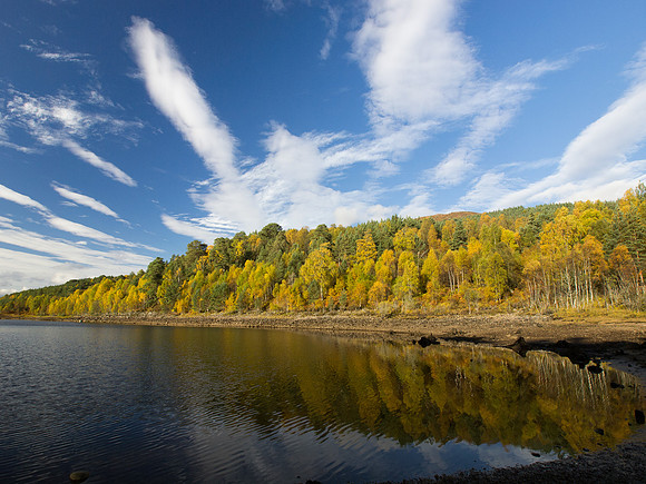 20121021-Glen Affric-RA211772
