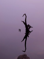 20121021-Glen Affric-RA211706