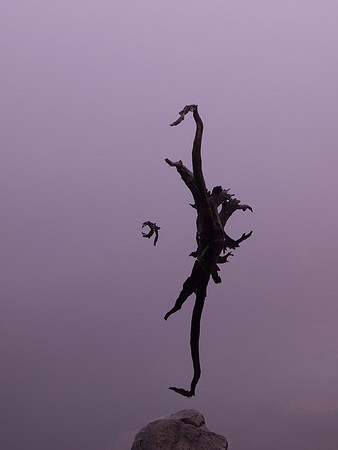 20121021-Glen Affric-RA211706