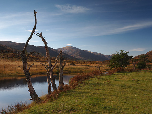 20121010-Glen Cannich-RA101481