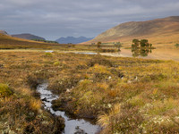20121009-Ullapool-RA091361