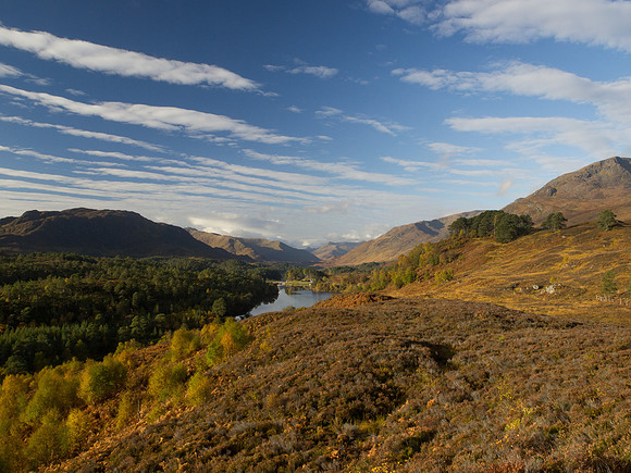 20121021-Glen Affric-RA211753